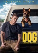 Dog - A Aventura de uma Vida